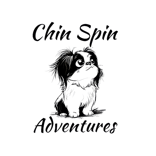 Chin Spin Adventures logo